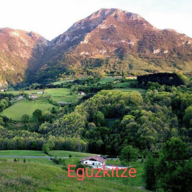 Abaltzisketa Eguzkitze Alojamiento Rural Lss00085 المظهر الخارجي الصورة