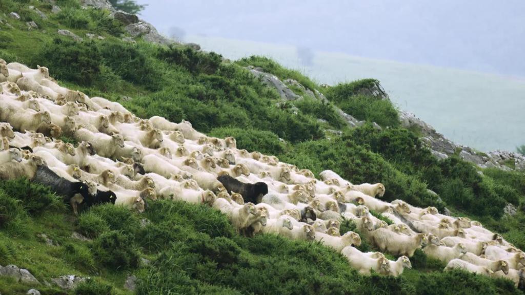 Abaltzisketa Eguzkitze Alojamiento Rural Lss00085 المظهر الخارجي الصورة